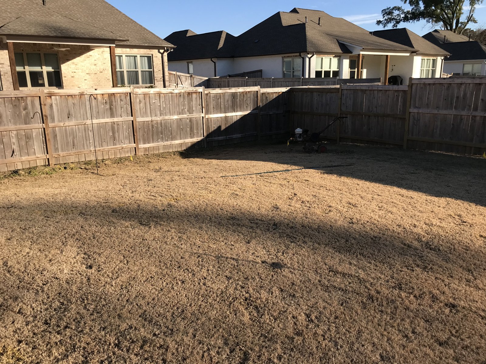 Before: a blank backyard