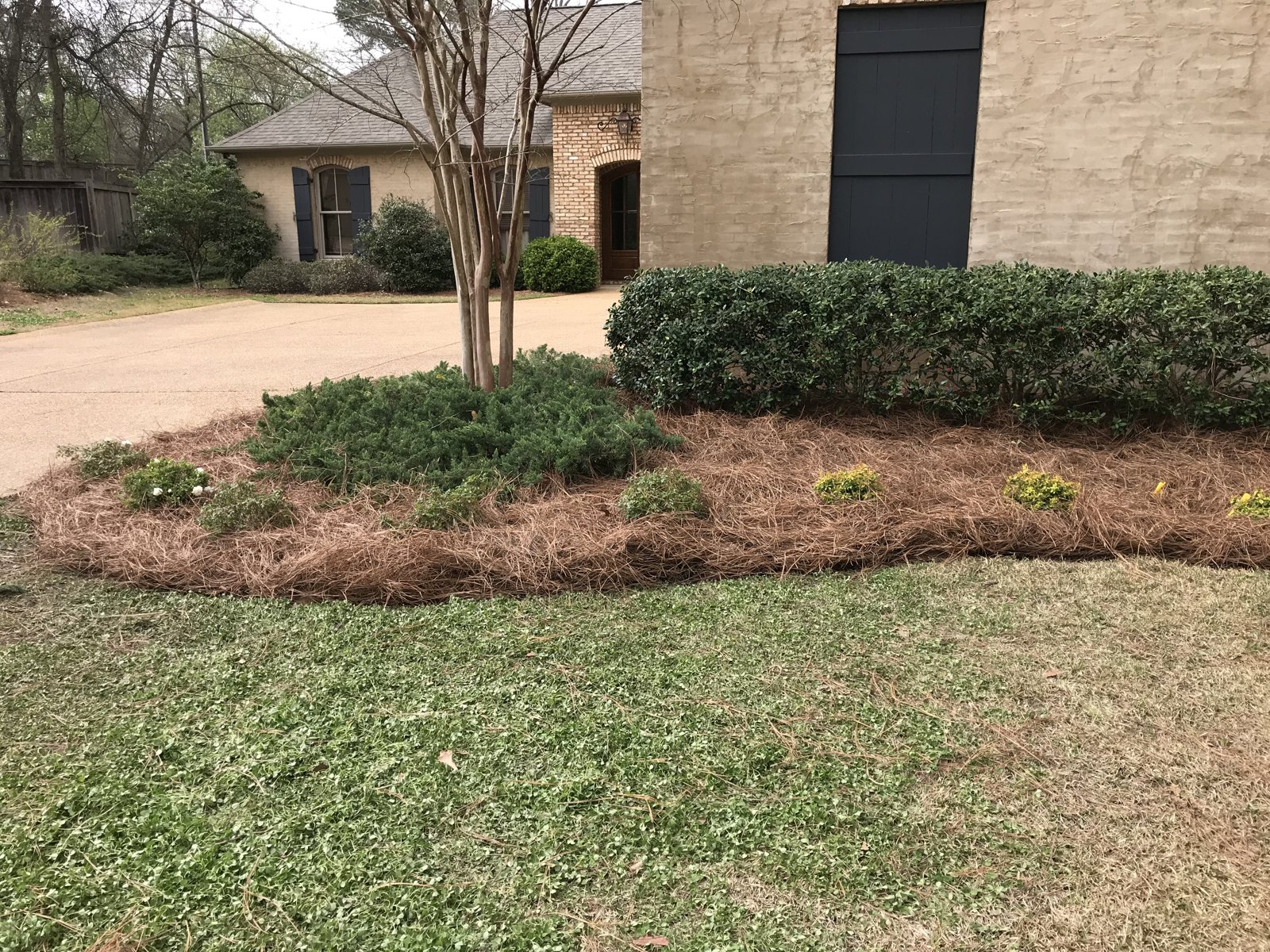 Pruned shrubs and defined beds