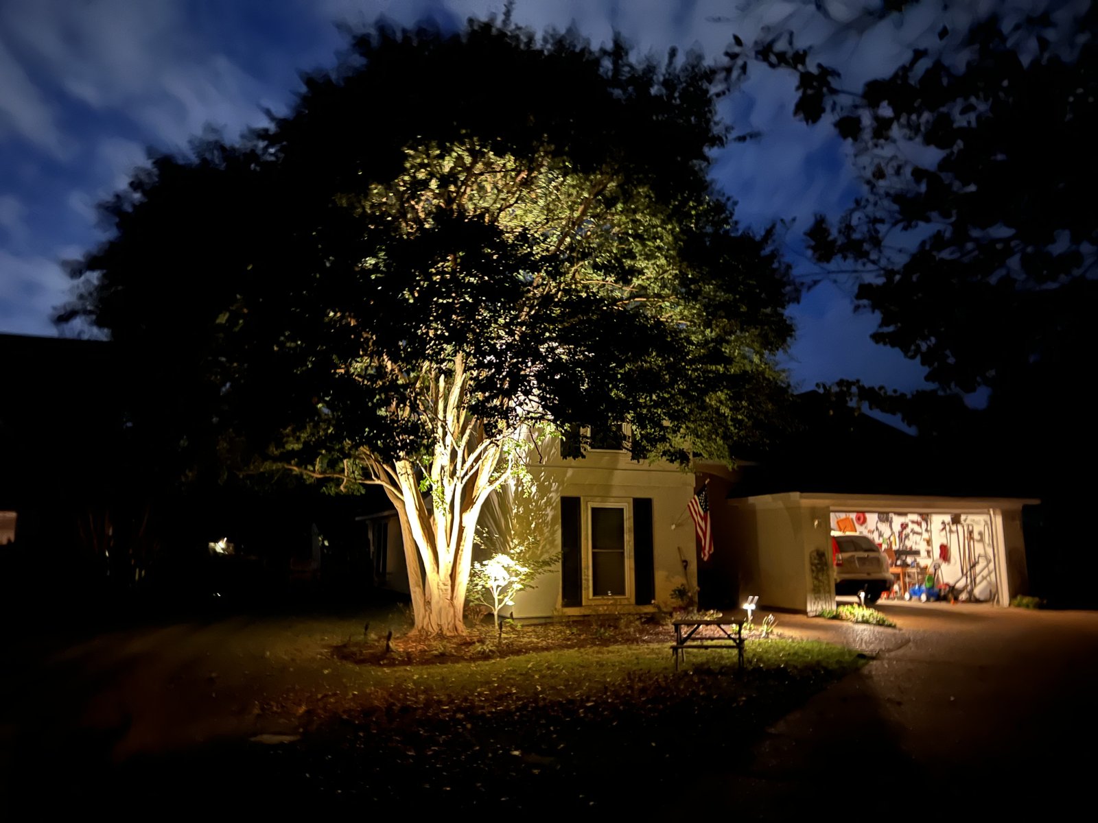 Tree and home uplighting
