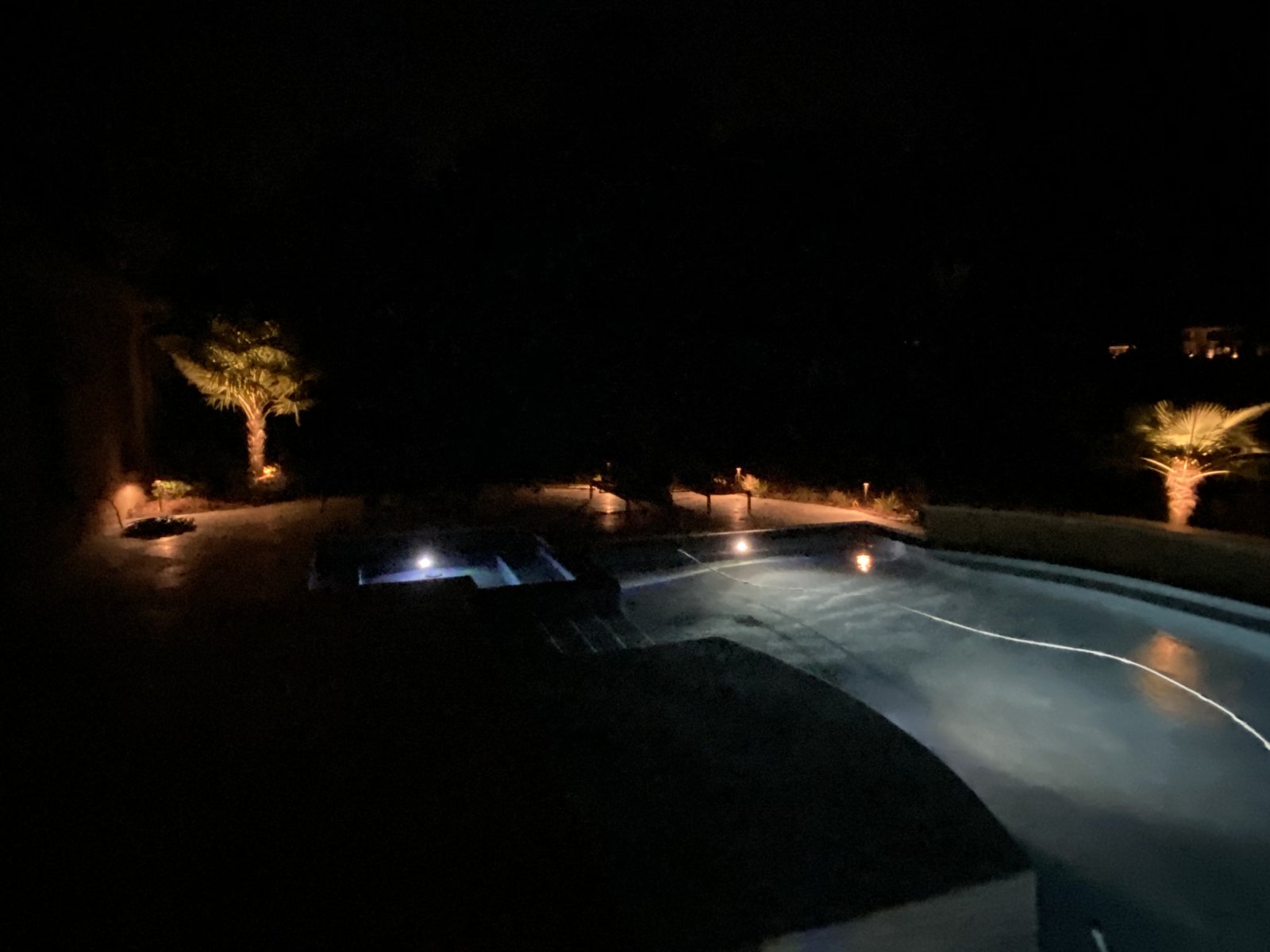 Poolside landscape lighting